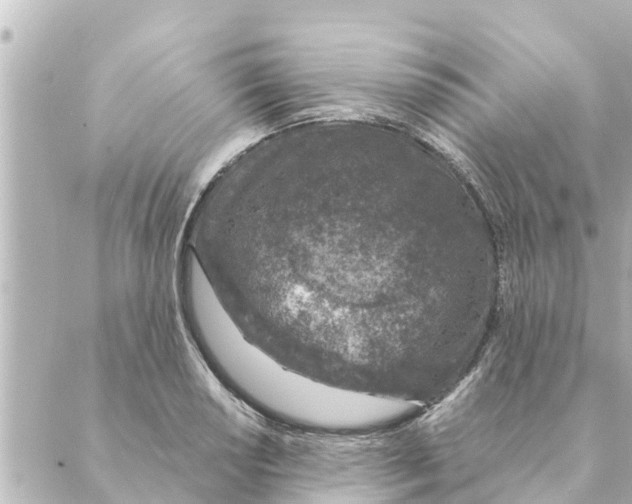 X0000088621034200706221450