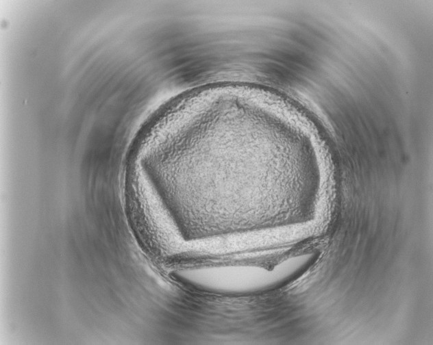 X0000088621035200706221450