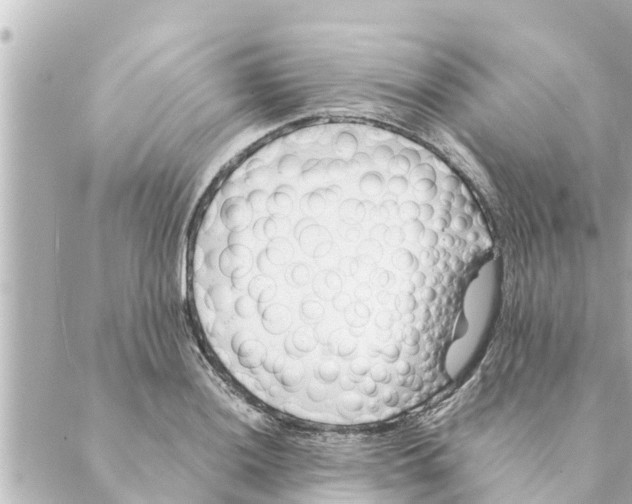 X0000088621036200706221450