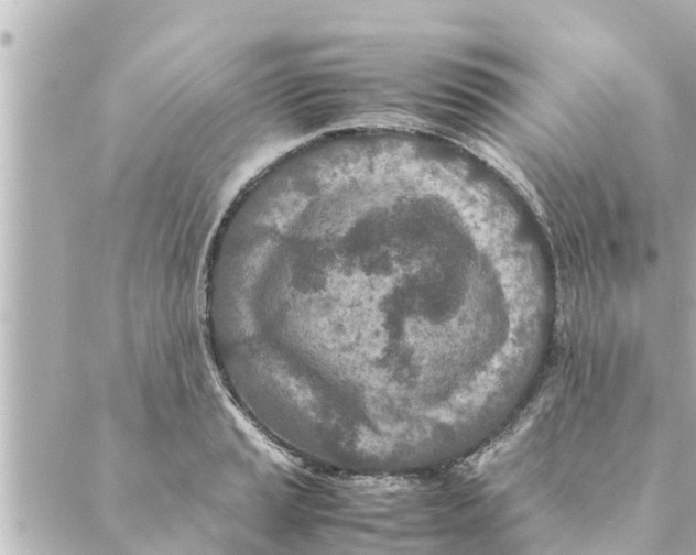 X0000088621037200706221450