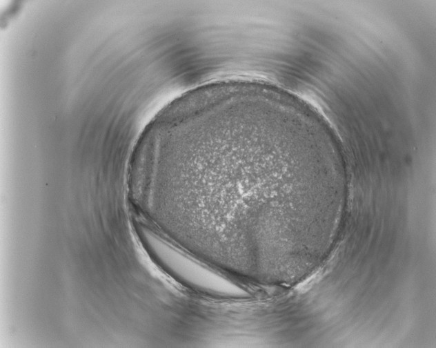 X0000088621038200706221450