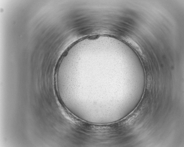 X0000088621039200706221450