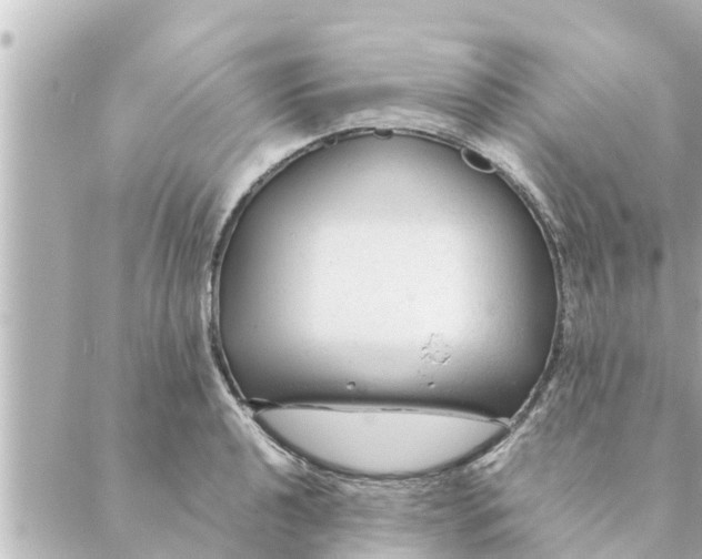 X0000088621040200706221450