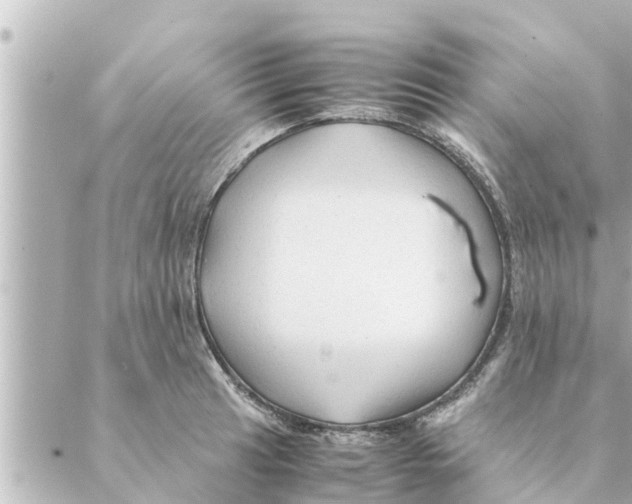 X0000088621041200706221450