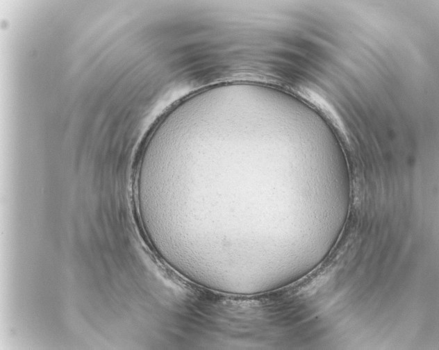 X0000088621043200706221450