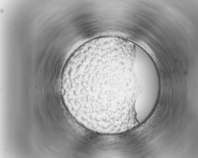 X0000088621044200706221450