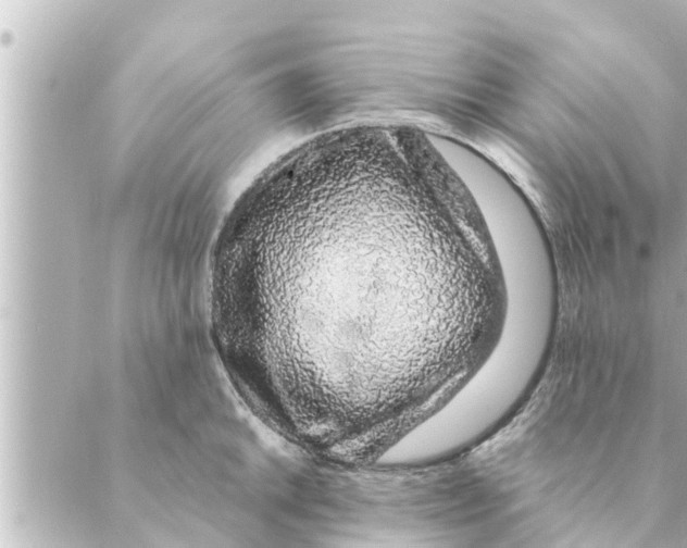 X0000088621046200706221450