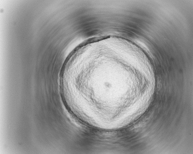 X0000088621047200706221450