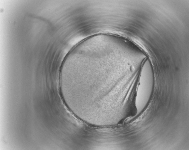 X0000088621048200706221450