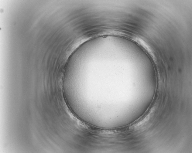 X0000088621049200706221450