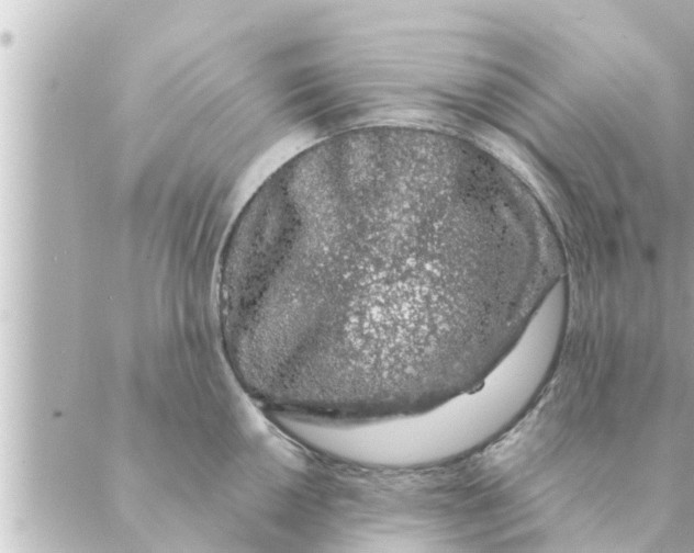 X0000088621050200706221450