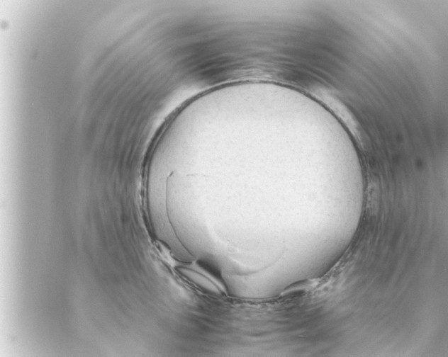 X0000088621051200706221451