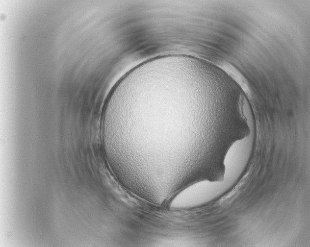 X0000088621052200706221451