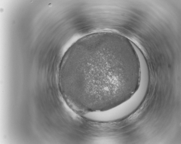 X0000088621054200706221451