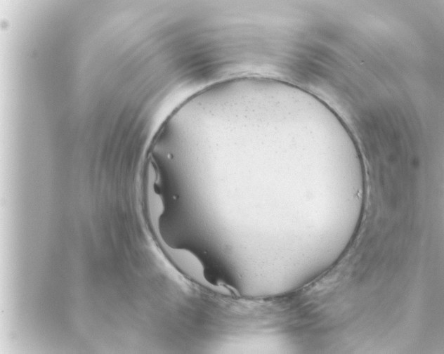 X0000088621056200706221451