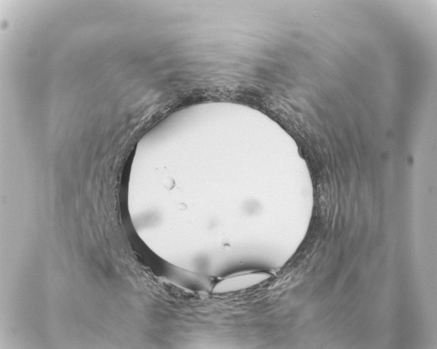 X0000088621057200706221450