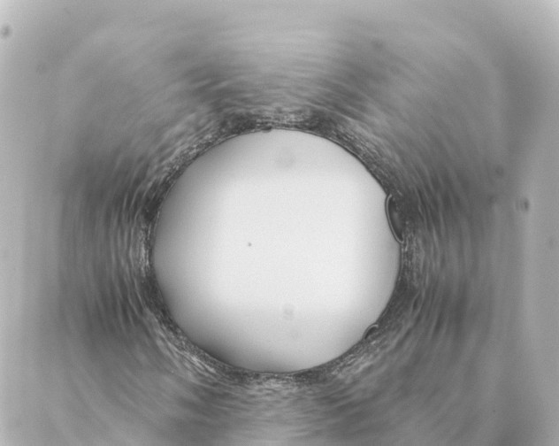 X0000088621058200706221450