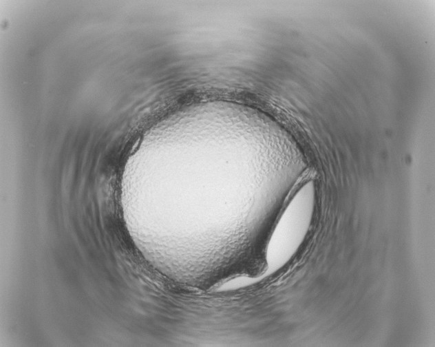 X0000088621059200706221450