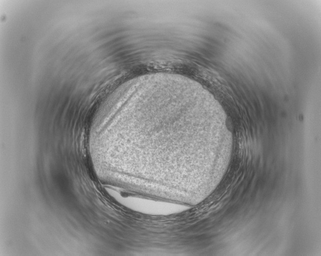 X0000088621060200706221450