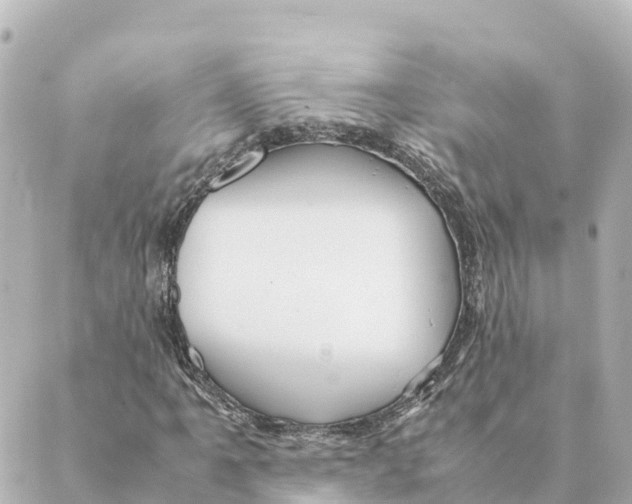 X0000088621061200706221450