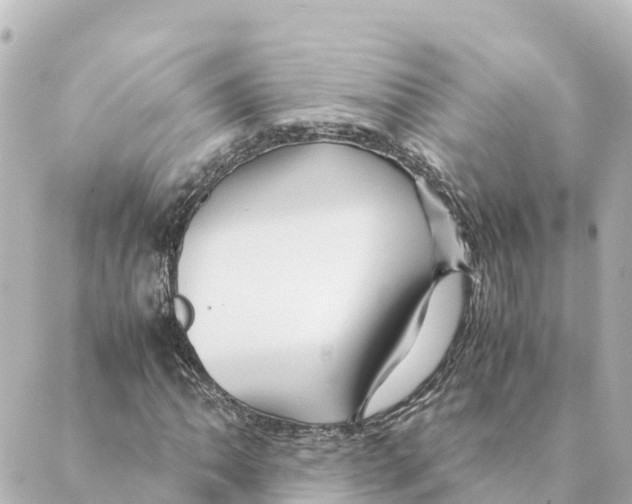 X0000088621062200706221450