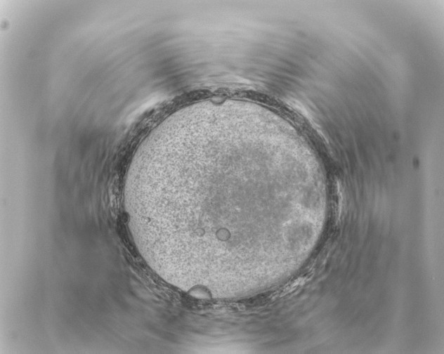 X0000088621063200706221450