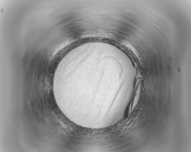 X0000088621064200706221450