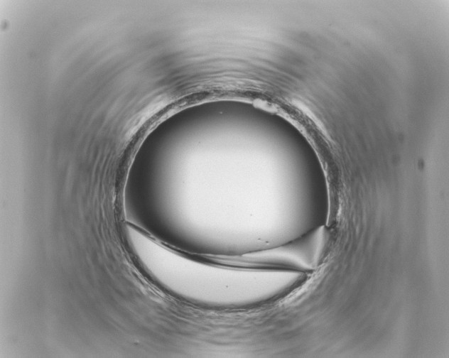 X0000088621065200706221450