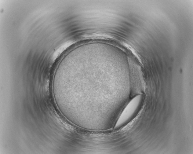 X0000088621066200706221450