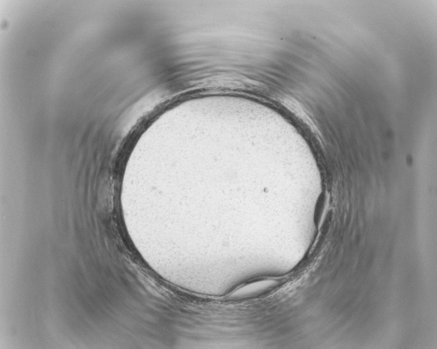 X0000088621067200706221450