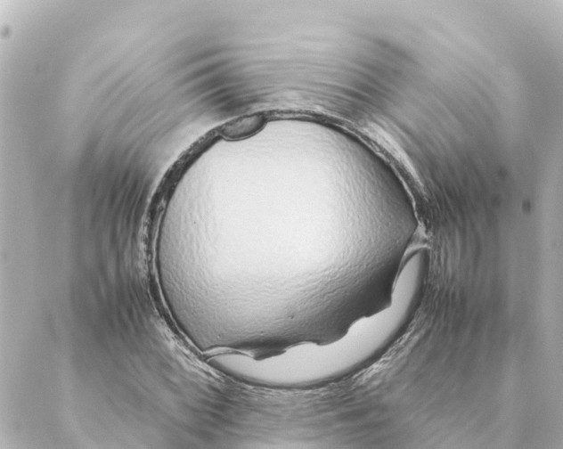 X0000088621068200706221450