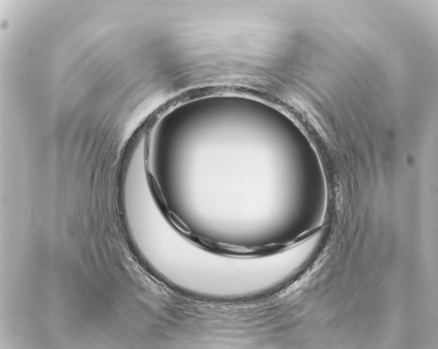 X0000088621069200706221450