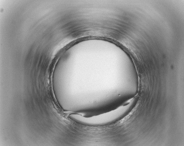 X0000088621070200706221450