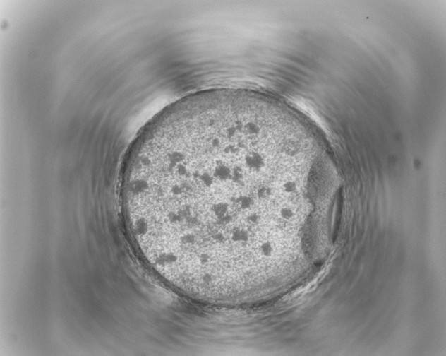 X0000088621071200706221450