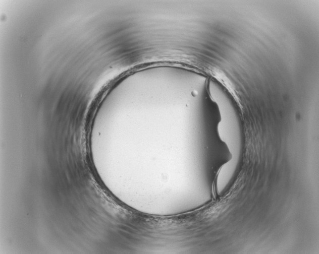 X0000088621072200706221450