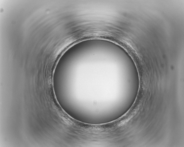 X0000088621073200706221450