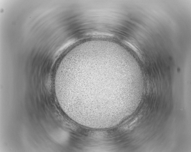 X0000088621074200706221450