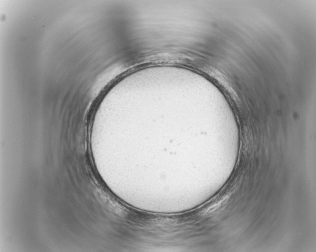 X0000088621075200706221450