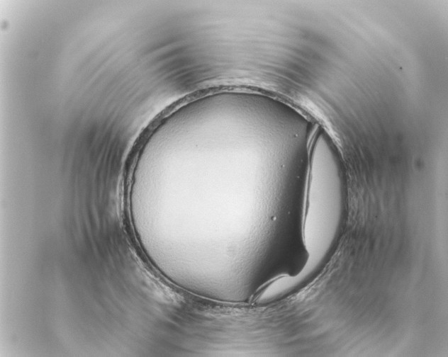 X0000088621076200706221450