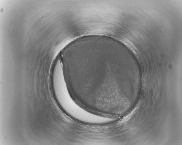 X0000088621077200706221449