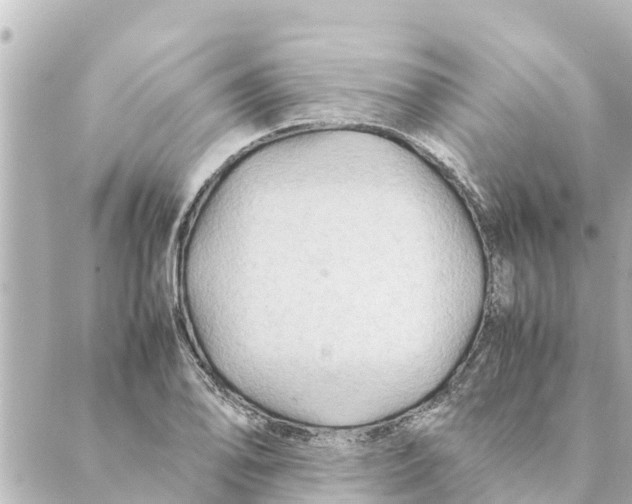 X0000088621078200706221449