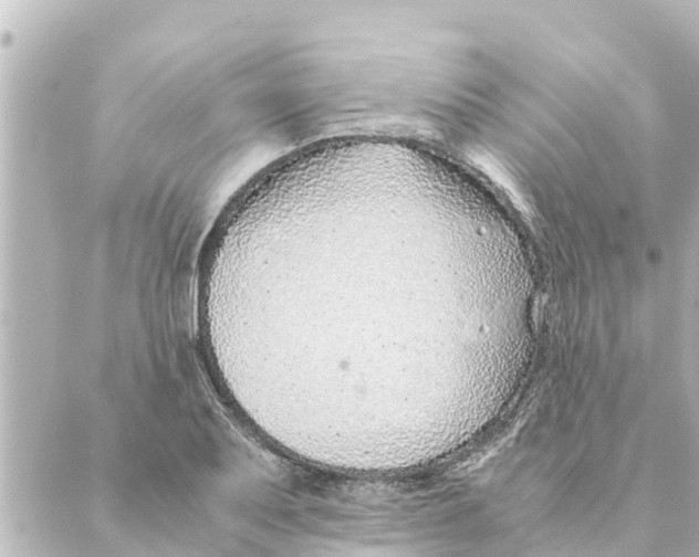 X0000088621079200706221449