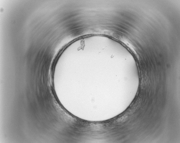 X0000088621080200706221449