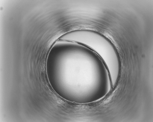 X0000088621081200706221449