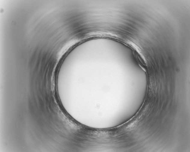 X0000088621082200706221449