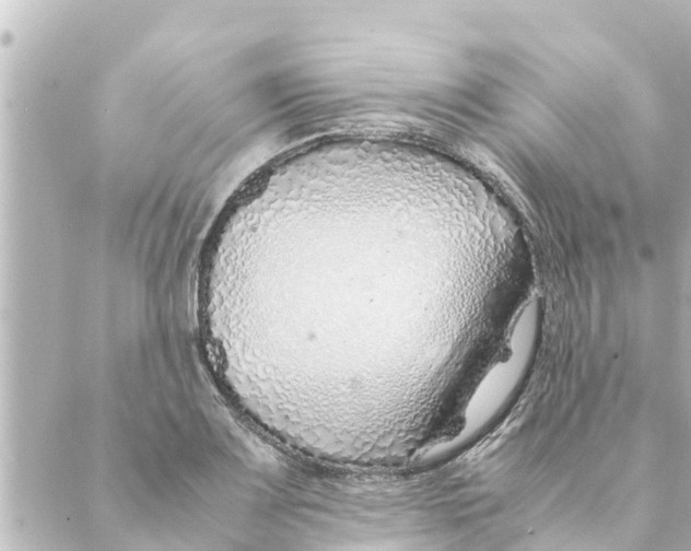 X0000088621083200706221449