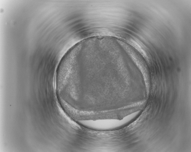 X0000088621084200706221449