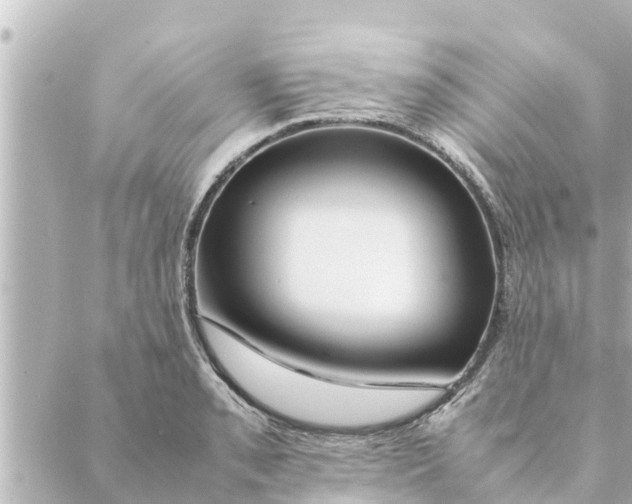 X0000088621085200706221449