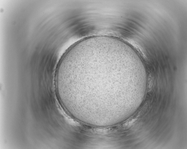 X0000088621086200706221449