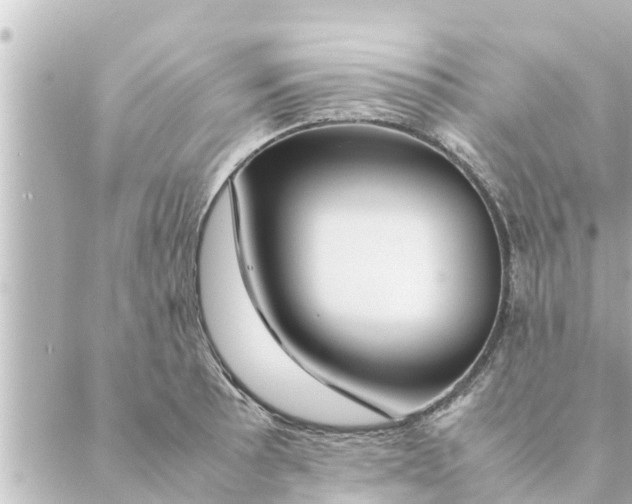 X0000088621089200706221449